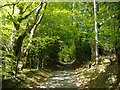 Twyn Road, north of Abercarn