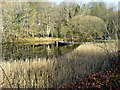 The loch at Kirkbride