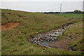 The Glen Burn near Moorfields, Co Antrim