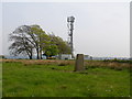 Knowehead Trig Point & Base Station