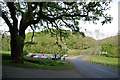 Oak tree & car park, Porthkerry Country Park