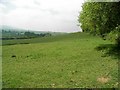 Footpath beside Craycombe Coppice