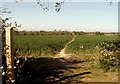 Footpath to Kirby-le-Soken