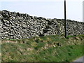 Dry Stone Wall near Cefn-Brith