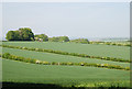 View across Charisworth Farm