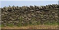 ST1691 : Dry Stone Wall by Steve Sheppard