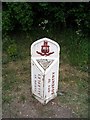 Boundary marker, Allesley