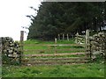 Gate, plantation corner, Brockhouse