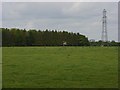 Pastoral farmland, Lower Wyke