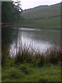 NO4161 : Loch near Horniehaugh, Glenquiech by Jones