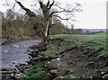 The River Wharfe, Low Park