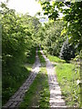 Cobbled road leading from A56