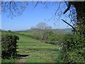 View looking east from Whitchurch Canonicorum