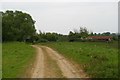 Footpath to Rows farm