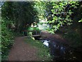 Bridge Over Stream, Longdon