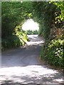 Sunken lane near Roke Manor