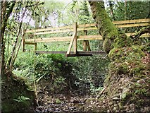 SX3893 : Footbridge by Jon Coupland