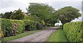 Road passing Cross Park Cottage