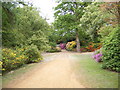 Valley Gardens, Virginia Water