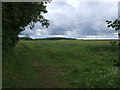 Bridleway towards Hill Farm