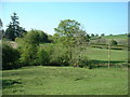 Farmland at Lower Trefeen