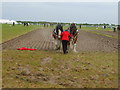 Horse Ploughing