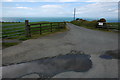 Driveway to Grannant, near Cippyn