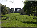 Meadow by River Lyd