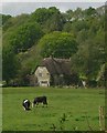 Thatched House at Wincombe