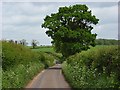 Lane, Lower Wyke