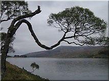 NC6127 : Loch Choire by Rupert Fleetingly