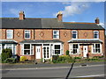 A terrace of houses at Cotton End.