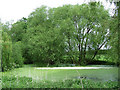 Pool by Ewdness Farm, Oldington, Shropshire