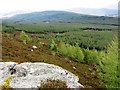 NN9143 : Griffin Forest from Creag Mhor by Robert Bone