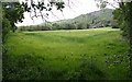 Barley Field, Malvern Wells