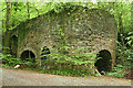 Yealmpton: limekilns at Western Torrs