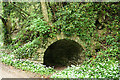 Yealmpton: limekiln by disused railway