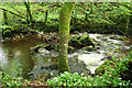 Yealmpton: the river Yealm