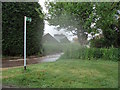 Public footpath through a timber yard