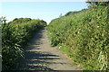 Cycleway near Bude