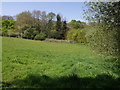 Meadow below Billacombe