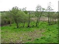 Ferney Townland