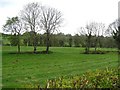 Derryveone Townland