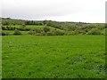 Ednamohill Black Townland