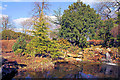 Ornate  Fishpond