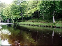 NS4626 : River Ayr by Stuart  Brabbs
