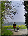 A lady walking her dog.