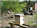 Apiary at Ardnargle