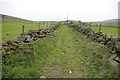 Swineshead Lane (bridleway)