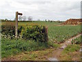 Footpath to Wappenham